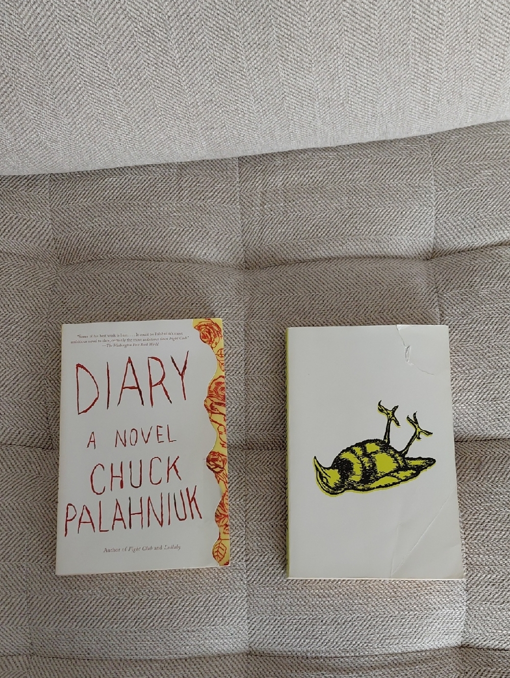 🔴 DIARY And LULLABY by Chuck Palahniuk - Paperback BOOKS